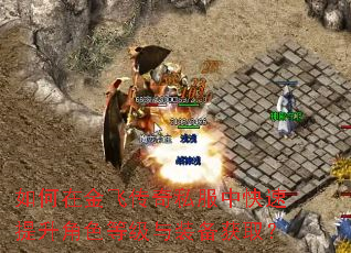 如何在金飞传奇私服中快速提升角色等级与装备获取? 如何在金飞传奇私服中快速提升角色等级与装备获取?