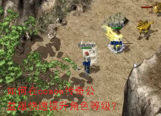 �����ccwow���湫�������������ɫ�ȼ���