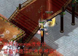 �����ccwow���湫�������������ɫ�ȼ���
