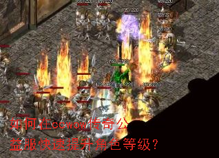 �����ccwow���湫�������������ɫ�ȼ���