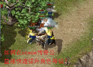 �����ccwow���湫�������������ɫ�ȼ���