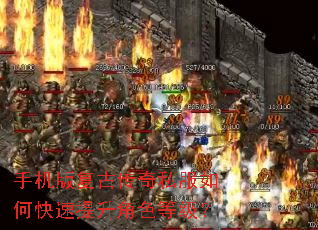 �ֻ��渴�Ŵ���˽����ο���������ɫ�ȼ���
