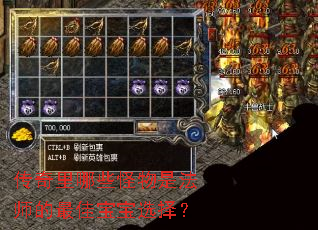 传奇里哪些怪物是法师的最佳宝宝选择? 传奇里哪些怪物是法师的最佳宝宝选择?