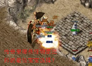 传奇里哪些怪物是法师的最佳宝宝选择? 传奇里哪些怪物是法师的最佳宝宝选择?