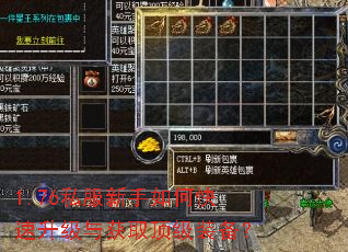 1.76私服新手如何快速升级与获取顶级装备? 1.76私服新手如何快速升级与获取顶级装备?