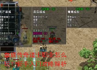 血族传奇道士职业怎么玩?新手入门攻略解析 血族传奇道士职业怎么玩?新手入门攻略解析