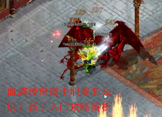 Ѫ�崫���ʿְҵ��ô�棿�������Ź��Խ���