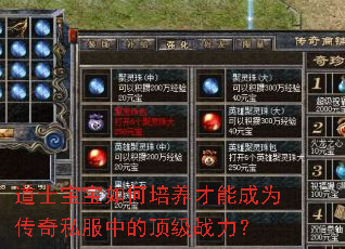 道士宝宝如何培养才能成为传奇私服中的顶级战力? 道士宝宝如何培养才能成为传奇私服中的顶级战力?