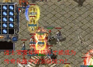 道士宝宝如何培养才能成为传奇私服中的顶级战力? 道士宝宝如何培养才能成为传奇私服中的顶级战力?