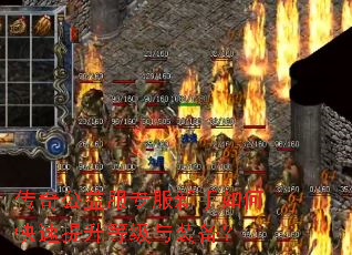 传奇公益服专服新手如何快速提升等级与装备? 传奇公益服专服新手如何快速提升等级与装备?