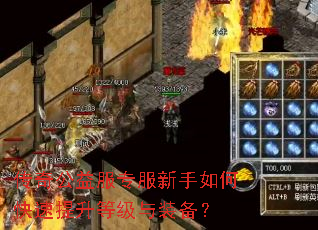 传奇公益服专服新手如何快速提升等级与装备? 传奇公益服专服新手如何快速提升等级与装备?