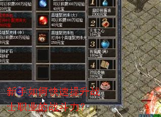 新手如何快速提升战士职业的战斗力? 新手如何快速提升战士职业的战斗力?