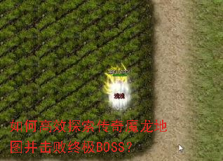 如何高效探索传奇魔龙地图并击败终极BOSS? 如何高效探索传奇魔龙地图并击败终极BOSS?
