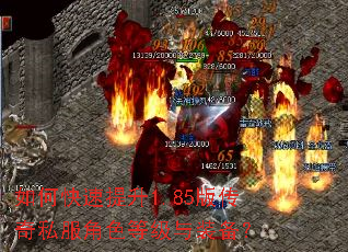 如何快速提升1.85版传奇私服角色等级与装备? 如何快速提升1.85版传奇私服角色等级与装备?