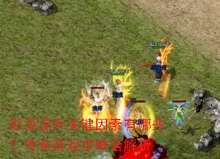 勋章提升关键因素有哪些?传奇游戏攻略全解析 勋章提升关键因素有哪些?传奇游戏攻略全解析