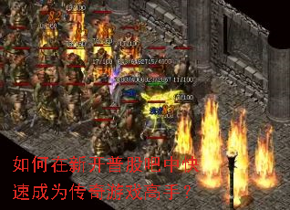 如何在新开普股吧中快速成为传奇游戏高手? 如何在新开普股吧中快速成为传奇游戏高手?