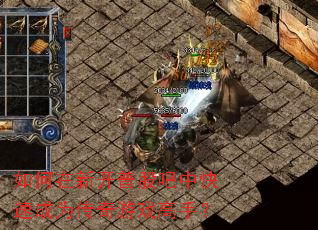 如何在新开普股吧中快速成为传奇游戏高手? 如何在新开普股吧中快速成为传奇游戏高手?