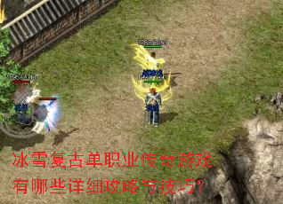 冰雪复古单职业传奇游戏有哪些详细攻略与技巧? 冰雪复古单职业传奇游戏有哪些详细攻略与技巧?
