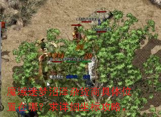 魔域迷梦沼泽杂货商具体位置在哪?求详细坐标攻略。 魔域迷梦沼泽杂货商具体位置在哪?求详细坐标攻略。