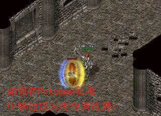 如何在Pokemmo私服中快速成为传奇训练师? 如何在Pokemmo私服中快速成为传奇训练师?
