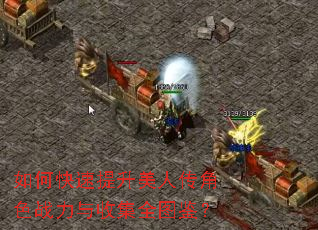 如何快速提升美人传角色战力与收集全图鉴? 如何快速提升美人传角色战力与收集全图鉴?