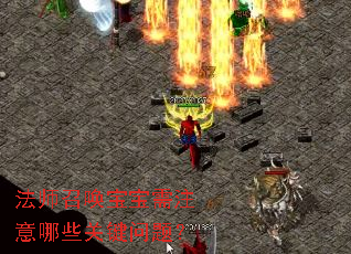 法师召唤宝宝需注意哪些关键问题? 法师召唤宝宝需注意哪些关键问题?