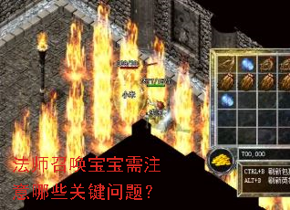 法师召唤宝宝需注意哪些关键问题? 法师召唤宝宝需注意哪些关键问题?