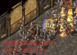 如何选择适合新手的传奇合击sf职业组合? 如何选择适合新手的传奇合击sf职业组合?