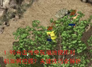 1.95合击传奇祝福油使用时机如何把握?关键技巧全解析 1.95合击传奇祝福油使用时机如何把握?关键技巧全解析
