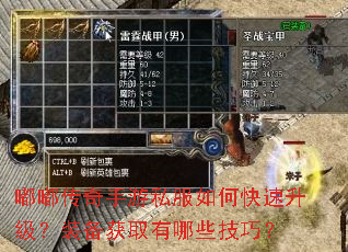 嘟嘟传奇手游私服如何快速升级?装备获取有哪些技巧? 嘟嘟传奇手游私服如何快速升级?装备获取有哪些技巧?