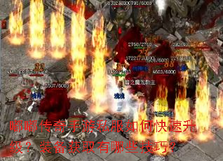 嘟嘟传奇手游私服如何快速升级?装备获取有哪些技巧? 嘟嘟传奇手游私服如何快速升级?装备获取有哪些技巧?
