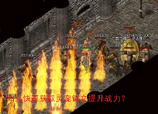 如何快速获取灵宠铭文提升战力? 如何快速获取灵宠铭文提升战力?