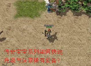 传奇宝宝系列如何快速升级与获取稀有装备? 传奇宝宝系列如何快速升级与获取稀有装备?