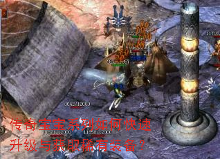 传奇宝宝系列如何快速升级与获取稀有装备? 传奇宝宝系列如何快速升级与获取稀有装备?