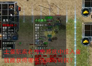 土豪玩家在传奇游戏中投入金钱能获得哪些优势与特权? 土豪玩家在传奇游戏中投入金钱能获得哪些优势与特权?