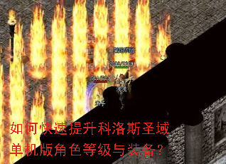 如何快速提升科洛斯圣域单机版角色等级与装备? 如何快速提升科洛斯圣域单机版角色等级与装备?