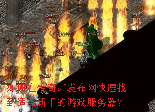 ����ڴ���sf�����������ҵ��ʺ����ֵ���Ϸ��������