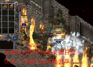 如何高效完成传奇夫妻日常任务?快速升级攻略分享 如何高效完成传奇夫妻日常任务?快速升级攻略分享